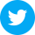 twitter (1)
